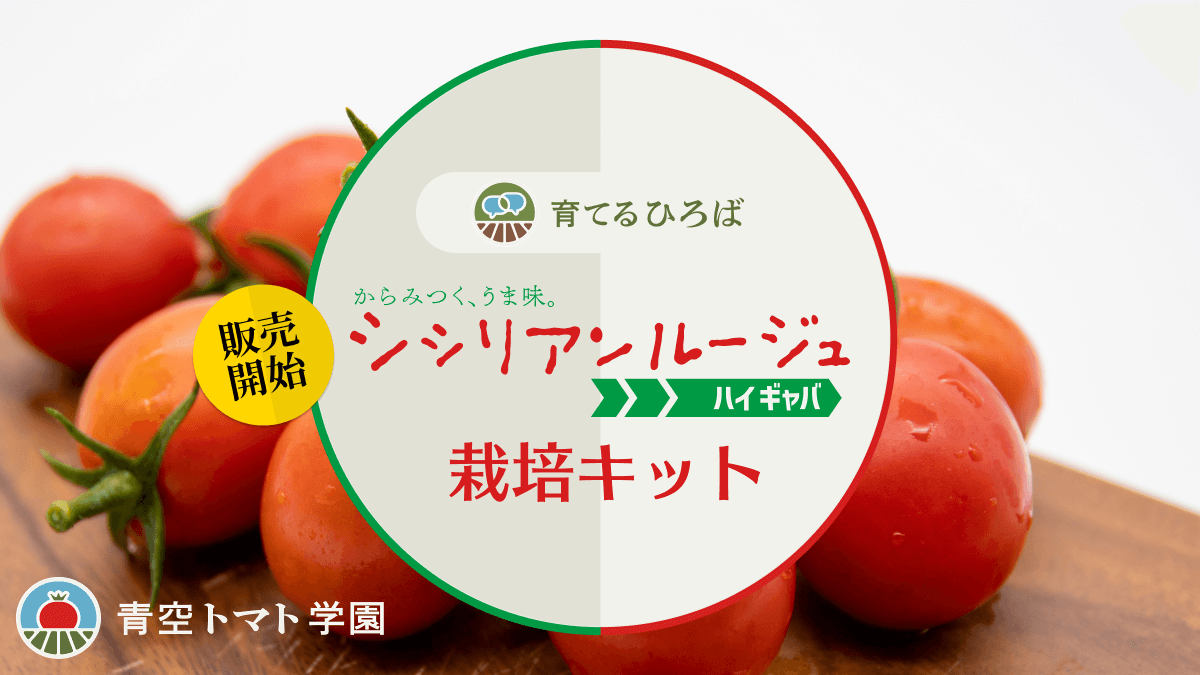 ゲノム編集トマト家庭菜園用苗の販売開始のお知らせ サナテックシード株式会社